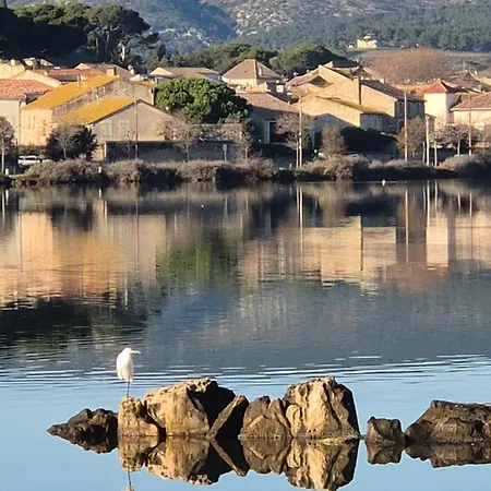 Avec Piscine Et Sauna ヴィラ Saint-Nazaire-d'Aude
